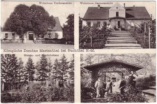 Marienthal,%20Wohnhaus%20Vorder-%20und%20Rückansicht,%20Bienen-%20und%20Gewächshaus,%20Kegelbahn%201920er%20Jahre%20o